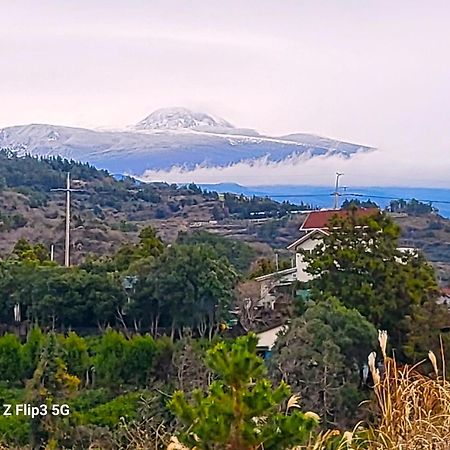 شاليه جوبيليه مدينة سيوجويبو المظهر الخارجي الصورة